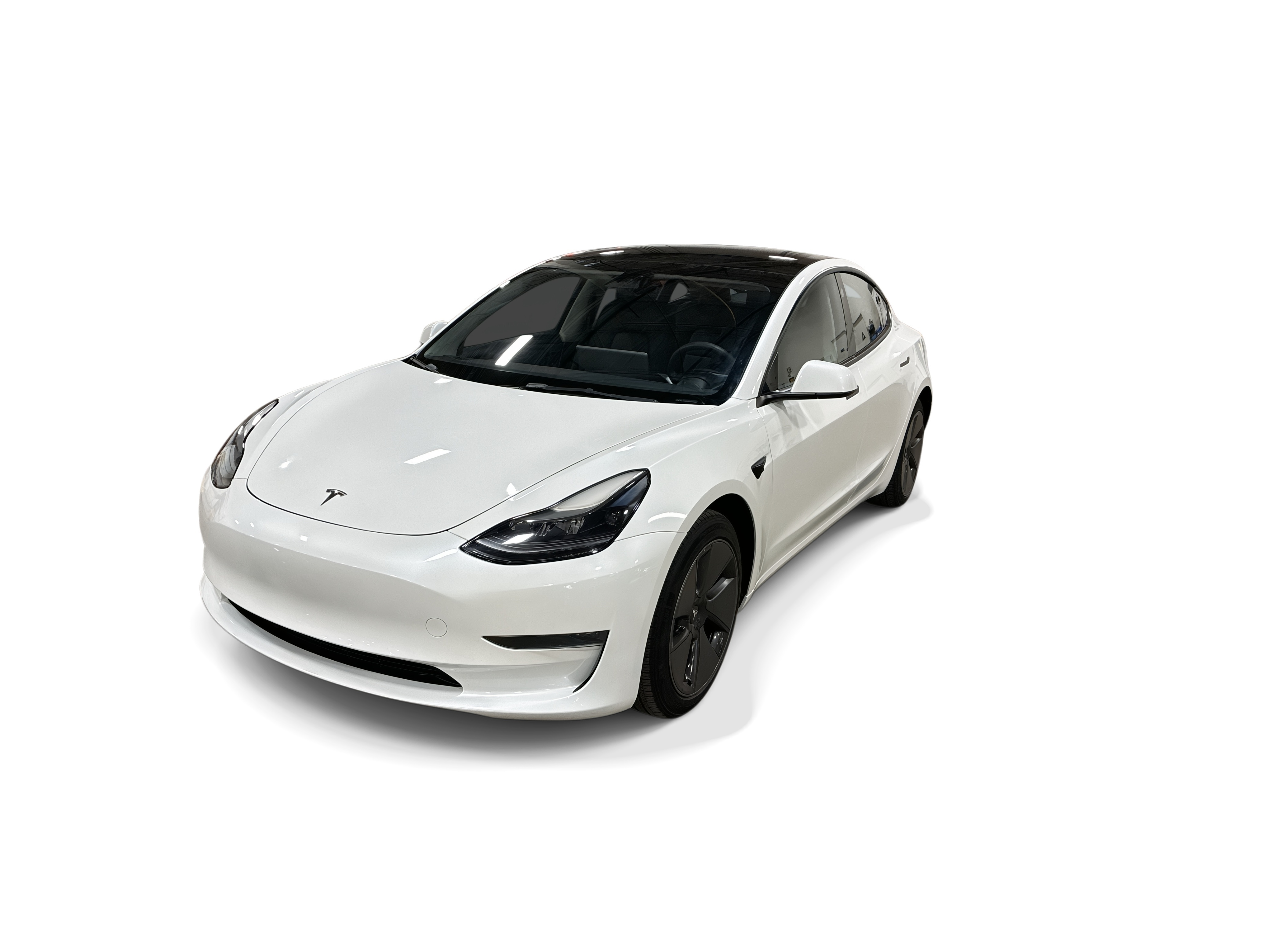 tesla model 3 2023 5YJ3E1EA2PF505989 image tesla model 3 2023 5YJ3E1EA2PF505989 image
